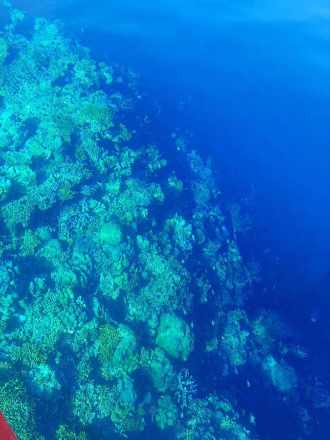 Blue Shark Divers Bunaken Esterno foto